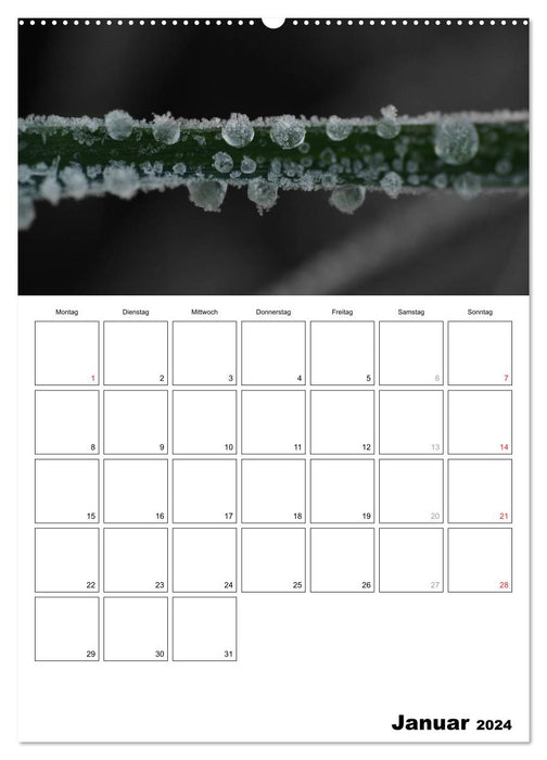 le noir/blanc rencontre la couleur - VOTRE CALENDRIER / Planificateur (CALVENDO Premium Wall Calendar 2024) 