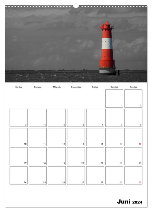 black/white meets color - YOUR CALENDAR / Planner (CALVENDO Premium Wall Calendar 2024) 