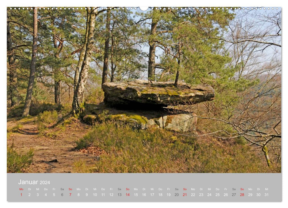 Rocks in the Palatinate Forest (CALVENDO wall calendar 2024)