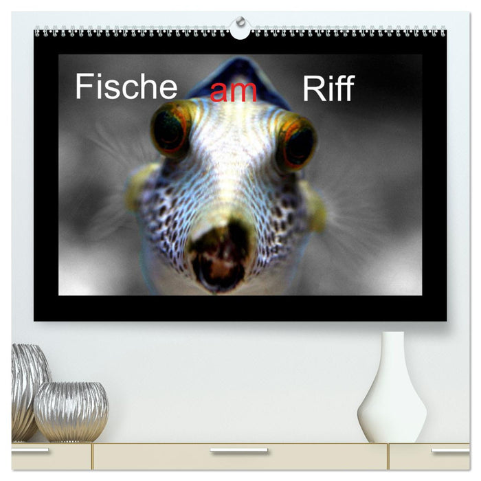 Fische am Riff (CALVENDO Premium Wandkalender 2024)