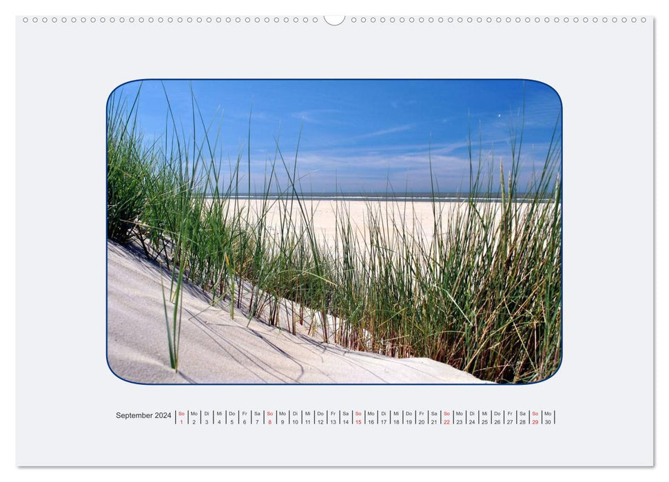 Ouddorp Special / Pictures from a Dutch North Sea island (CALVENDO Premium Wall Calendar 2024) 