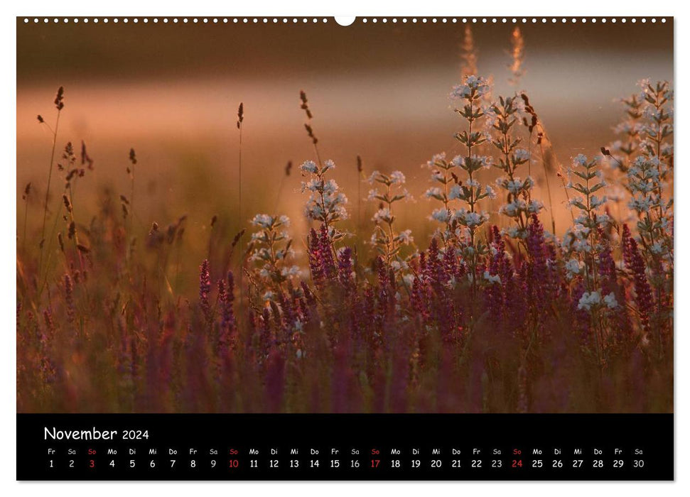 Naturjuwelen - Neusiedler See (CALVENDO Premium Wandkalender 2024)