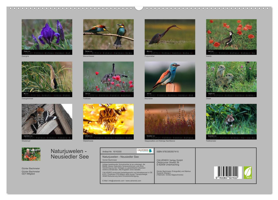 Naturjuwelen - Neusiedler See (CALVENDO Premium Wandkalender 2024)