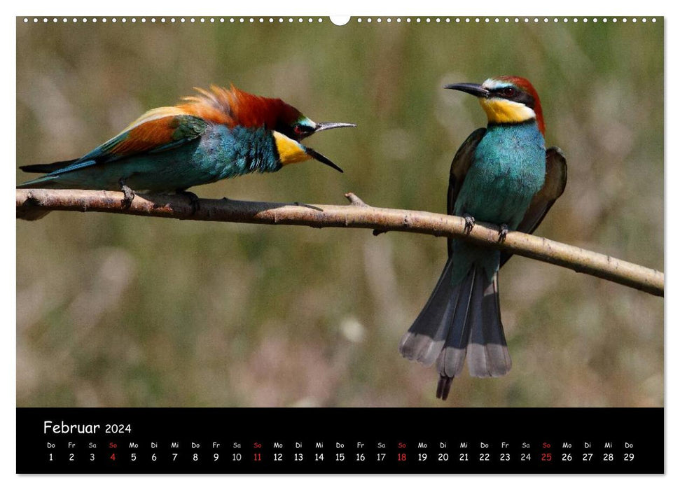 Natural Jewels - Lake Neusiedl (CALVENDO Premium Wall Calendar 2024) 