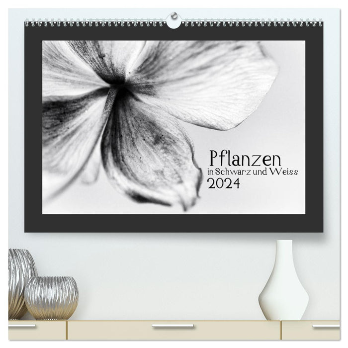 Pflanzen in Schwarz und Weiss / CH-Version (CALVENDO Premium Wandkalender 2024)