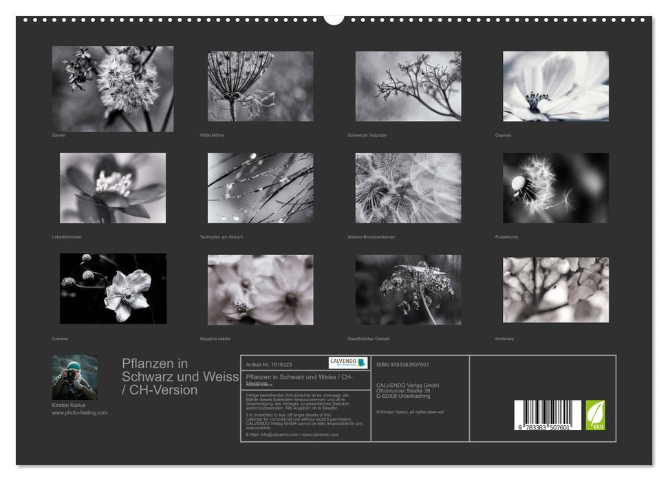 Plants in black and white / CH version (CALVENDO Premium Wall Calendar 2024) 