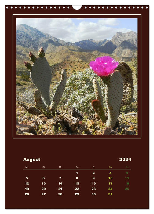 Cactus sauvages d'Amérique (Calendrier mural CALVENDO 2024) 