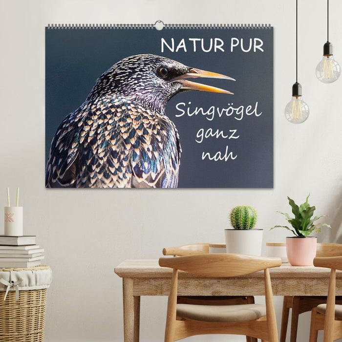 PURE NATURE - oiseaux chanteurs de près (Calendrier mural CALVENDO 2024) 