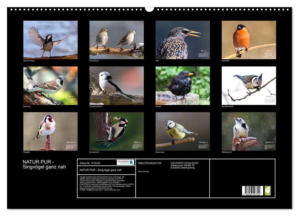 PURE NATURE - songbirds up close (CALVENDO wall calendar 2024) 