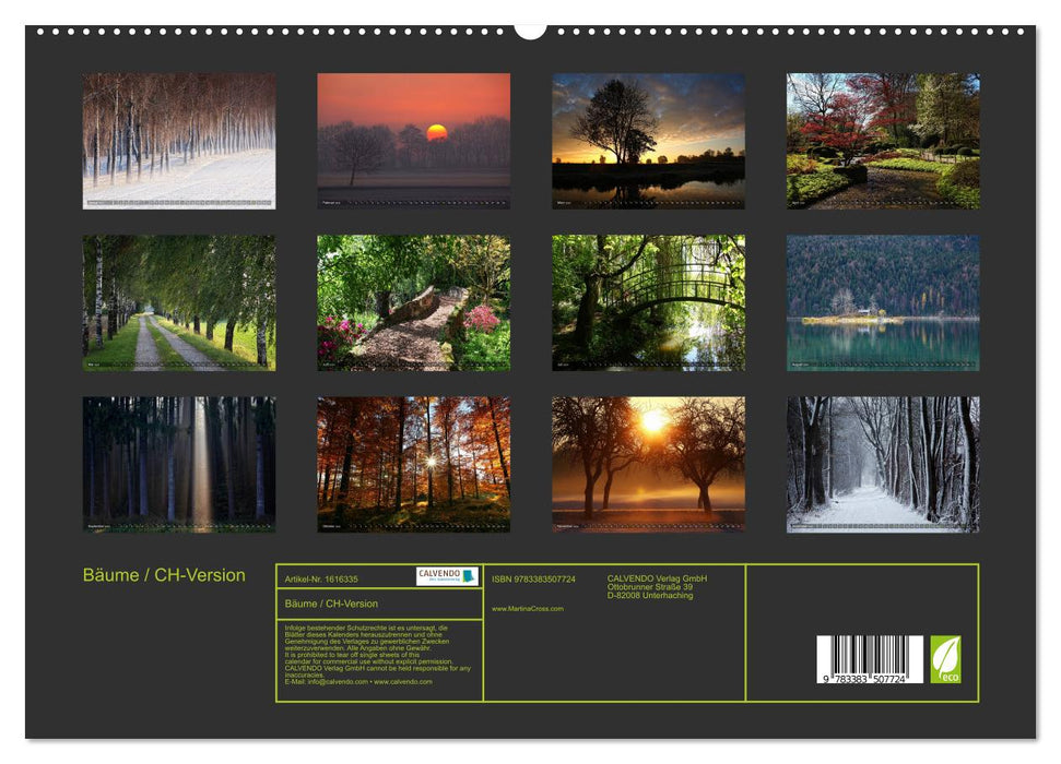 Arbres (Calendrier mural CALVENDO Premium 2024) 