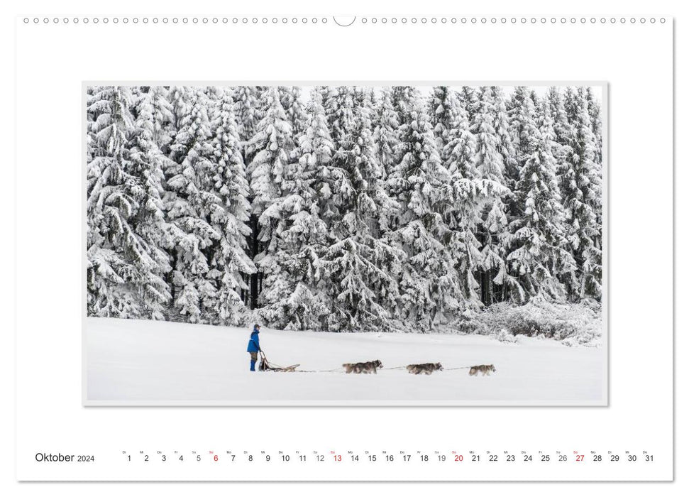 Emotional moments: The Art of Huskies. / CH version (CALVENDO Premium wall calendar 2024) 