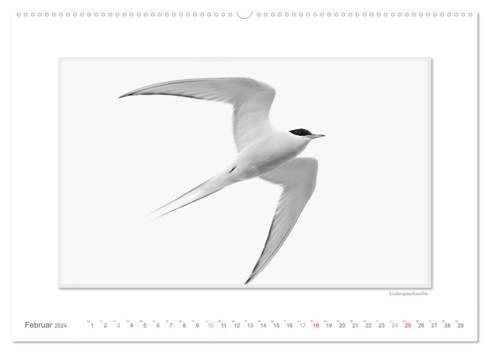 Emotionale Momente: Spitzbergen Svalbard / CH-Version (CALVENDO Premium Wandkalender 2024)