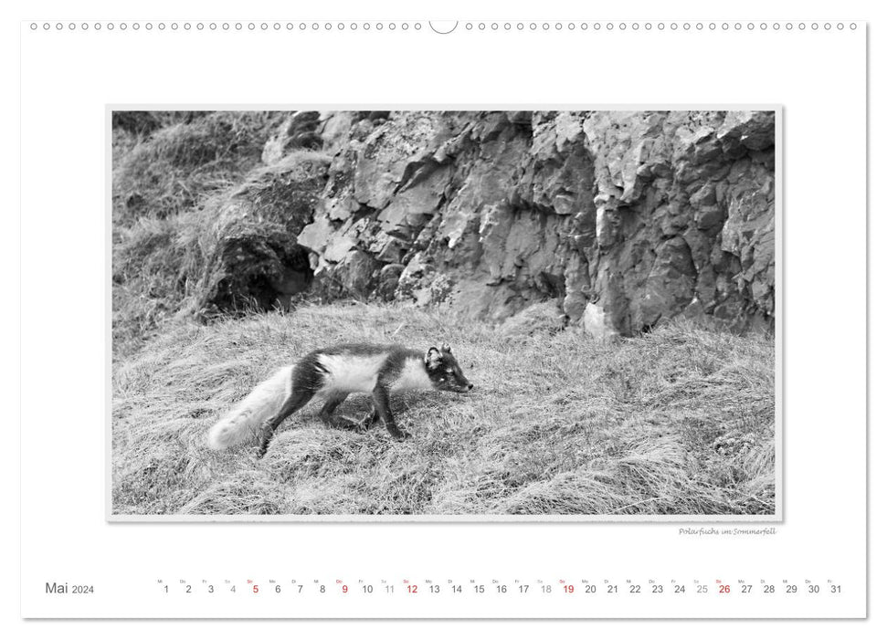 Emotionale Momente: Spitzbergen Svalbard / CH-Version (CALVENDO Premium Wandkalender 2024)