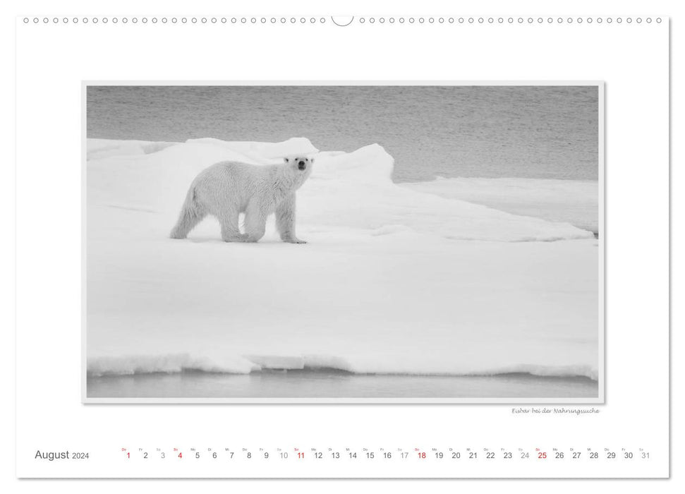 Emotional moments: Spitsbergen Svalbard / CH version (CALVENDO Premium Wall Calendar 2024) 