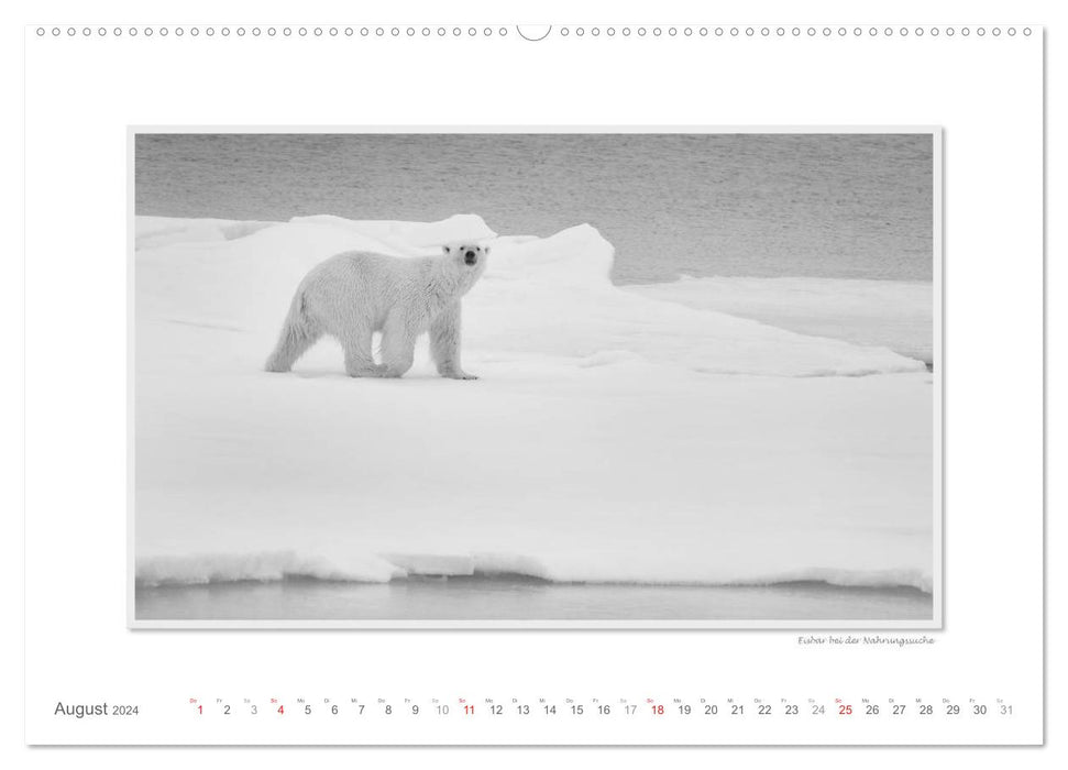 Emotionale Momente: Spitzbergen Svalbard / CH-Version (CALVENDO Premium Wandkalender 2024)