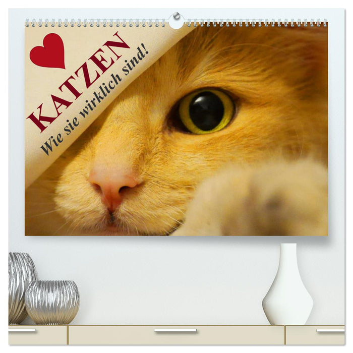 Katzen • Wie sie wirklich sind! (CALVENDO Premium Wandkalender 2024)