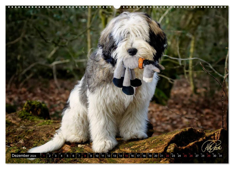 PON - Puppies, every day is a big adventure (CALVENDO wall calendar 2024) 