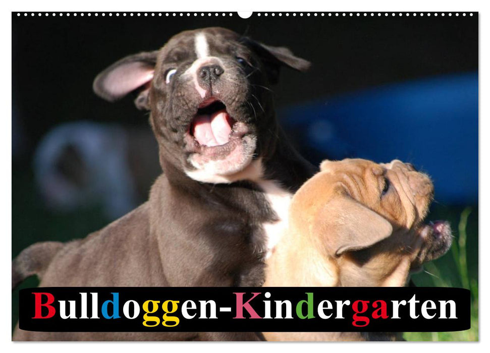 Bulldoggen-Kindergarten (CALVENDO Wandkalender 2024)