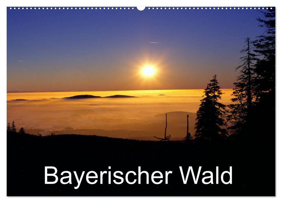 Bayerischer Wald (CALVENDO Wandkalender 2024)