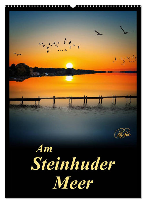 Am Steinhuder Meer / Planer (CALVENDO Wandkalender 2024)