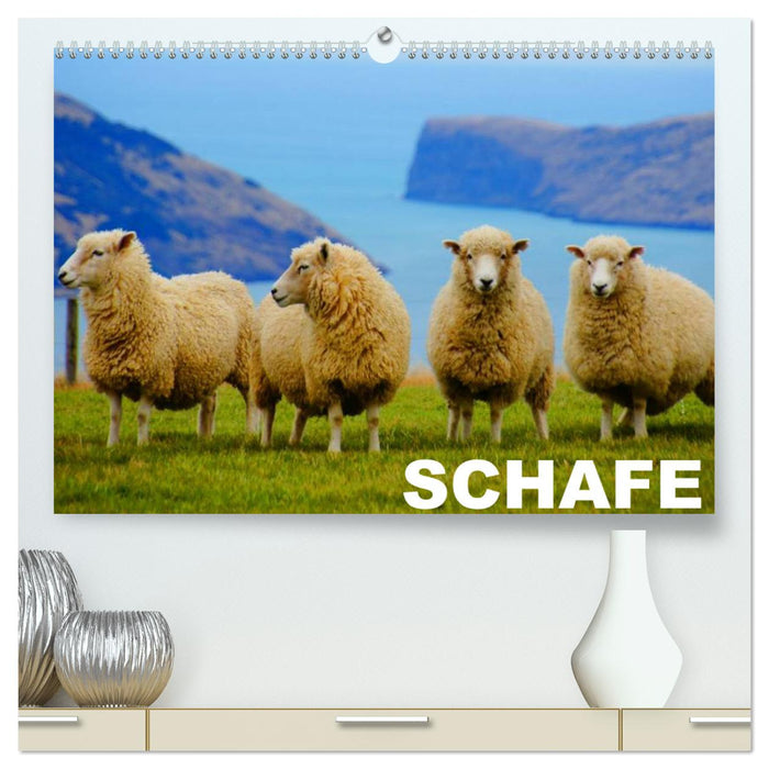 Sheep / Birthday Calendar (CALVENDO Premium Wall Calendar 2024) 