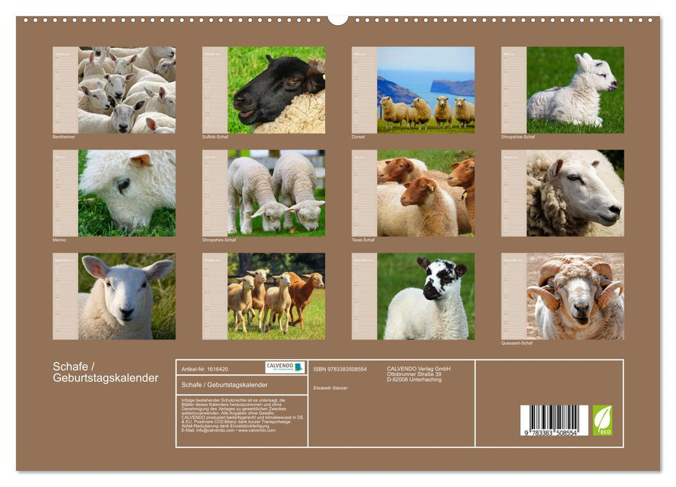 Sheep / Birthday Calendar (CALVENDO Premium Wall Calendar 2024) 