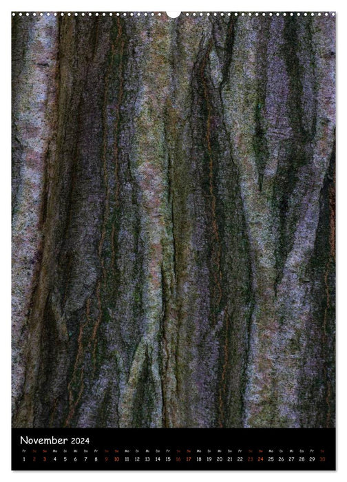 Tree Bark 2024 (CALVENDO Premium Wall Calendar 2024) 