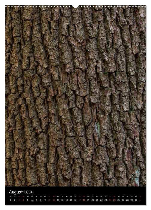Tree Bark 2024 (CALVENDO Premium Wall Calendar 2024) 
