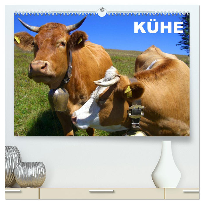 Cows / Birthday Calendar (CALVENDO Premium Wall Calendar 2024) 