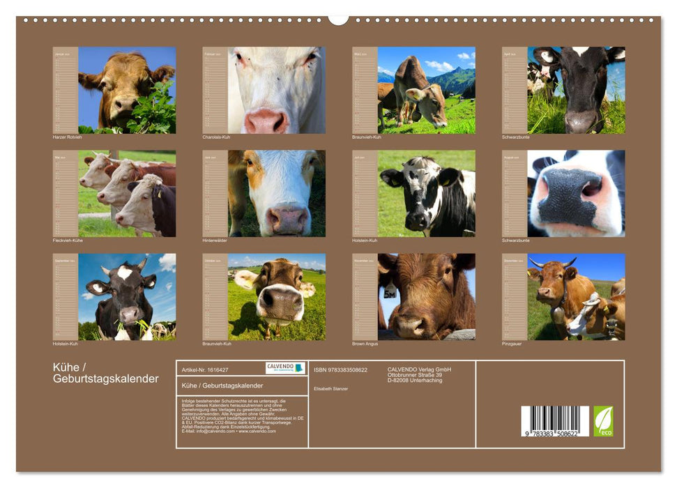 Cows / Birthday Calendar (CALVENDO Premium Wall Calendar 2024) 