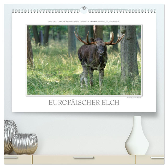 Emotional moments: European moose. / CH version (CALVENDO Premium wall calendar 2024) 