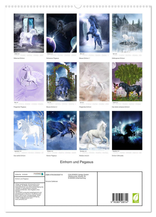 Einhorn und Pegasus (CALVENDO Premium Wandkalender 2024)