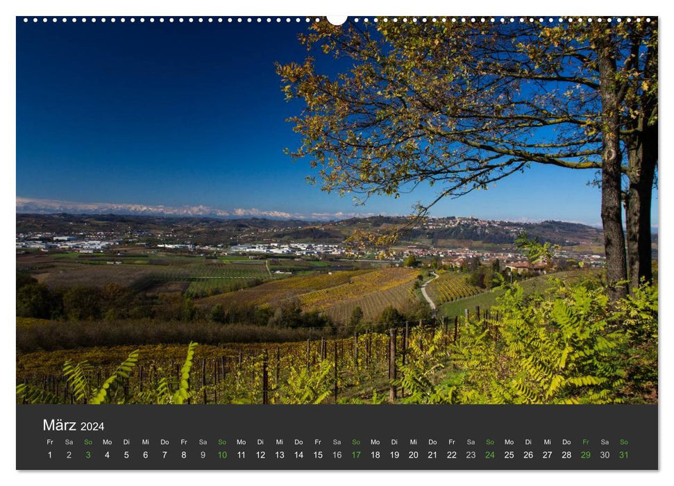 Le Piémont en automne : vin et truffes (calendrier mural CALVENDO 2024) 