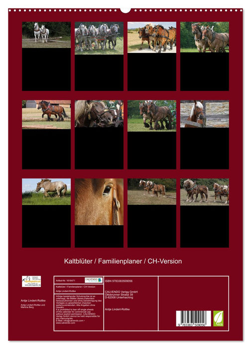 Cold-blooded horses / family planner / CH version (CALVENDO Premium wall calendar 2024) 
