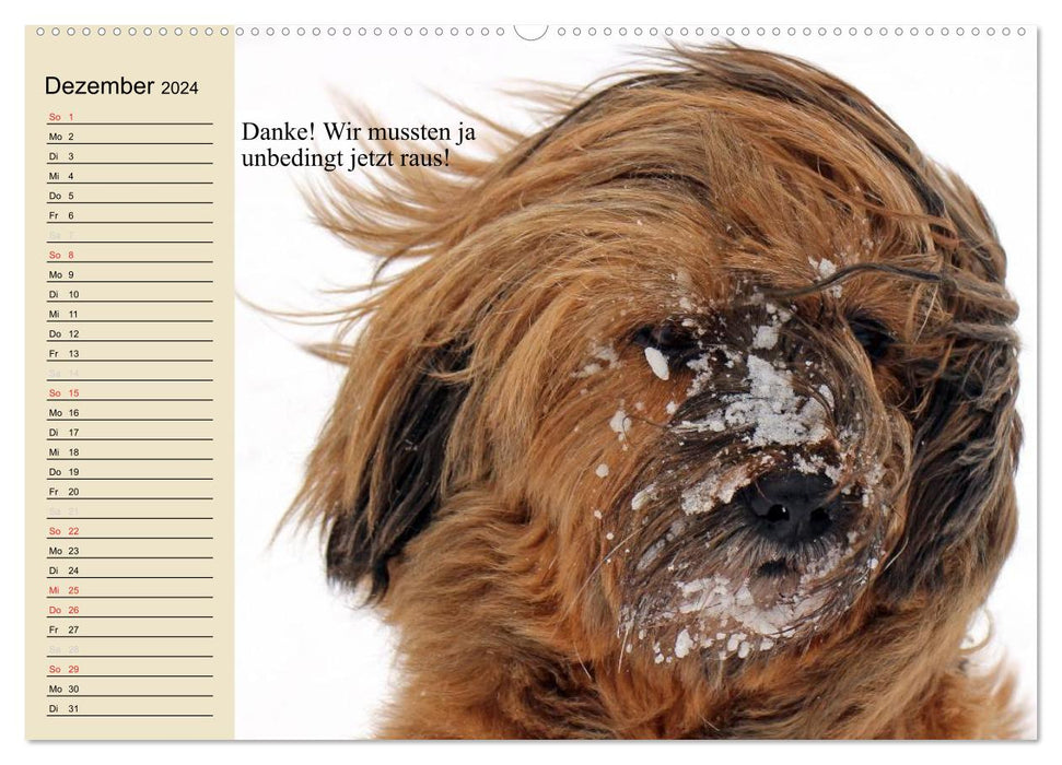 Hunde. Große und kleine Nasen (CALVENDO Premium Wandkalender 2024)