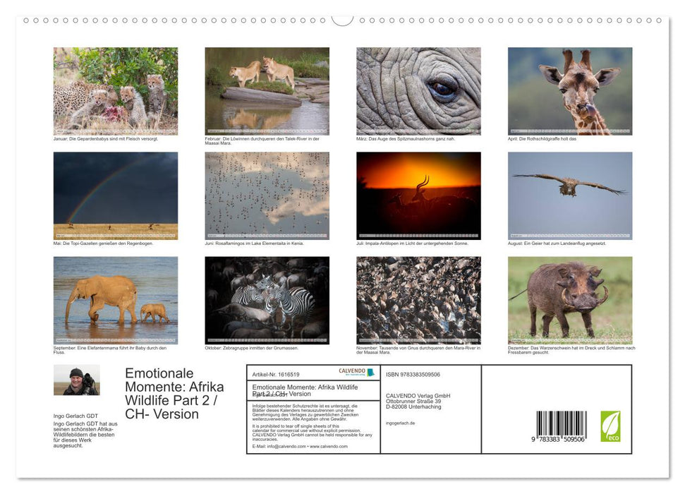 Emotional moments: Africa Wildlife Part 2 / CH version (CALVENDO Premium Wall Calendar 2024) 