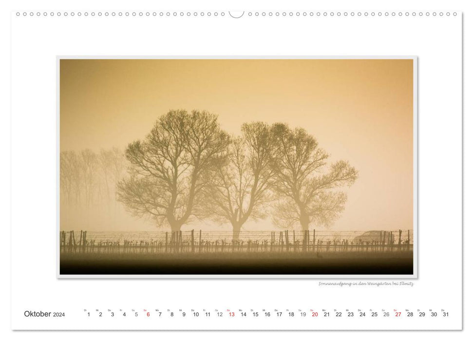 Neusiedler See / CH-Version (CALVENDO Premium Wandkalender 2024)