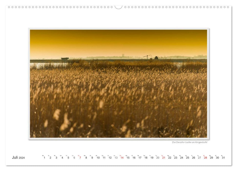 Lake Neusiedl / CH version (CALVENDO Premium Wall Calendar 2024) 