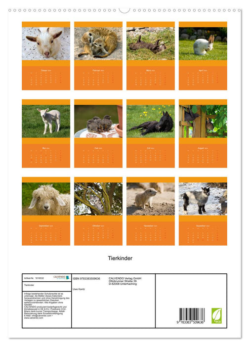 Animal children (CALVENDO Premium wall calendar 2024) 