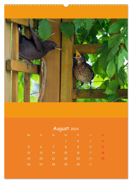 Animal children (CALVENDO Premium wall calendar 2024) 