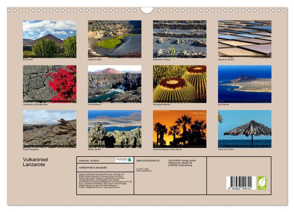 Île volcanique de Lanzarote (Calendrier mural CALVENDO 2024) 