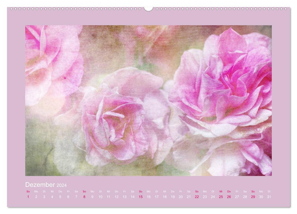 Romantische Rosen (CALVENDO Premium Wandkalender 2024)