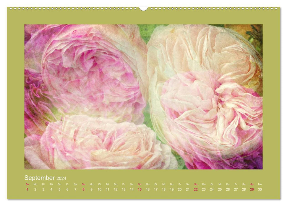 Romantic Roses (CALVENDO Premium Wall Calendar 2024) 