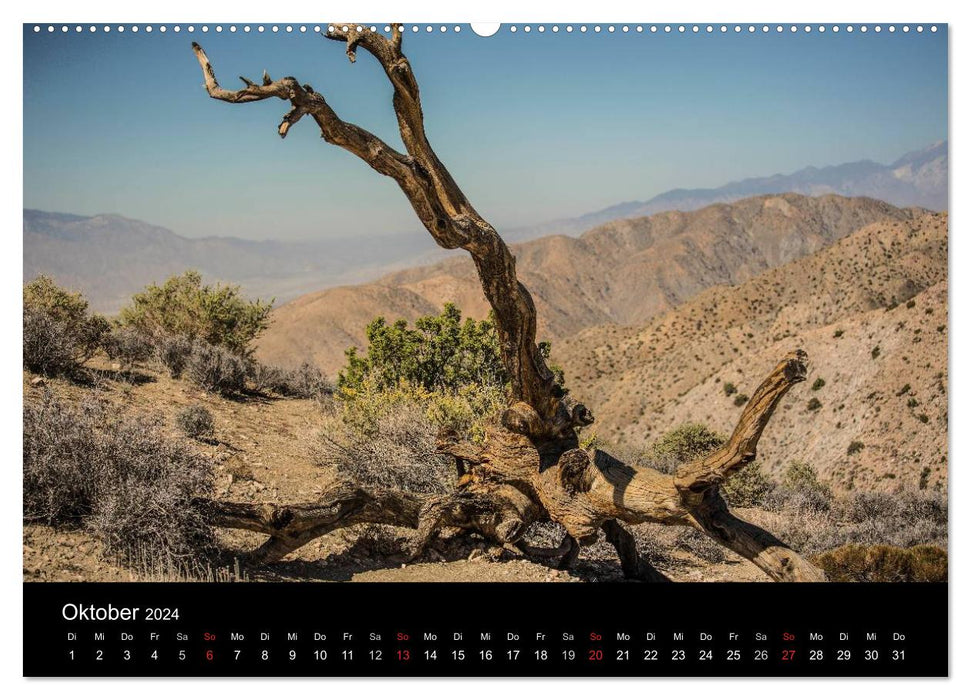 USA - fascinating southwest / CH version (CALVENDO Premium Wall Calendar 2024) 