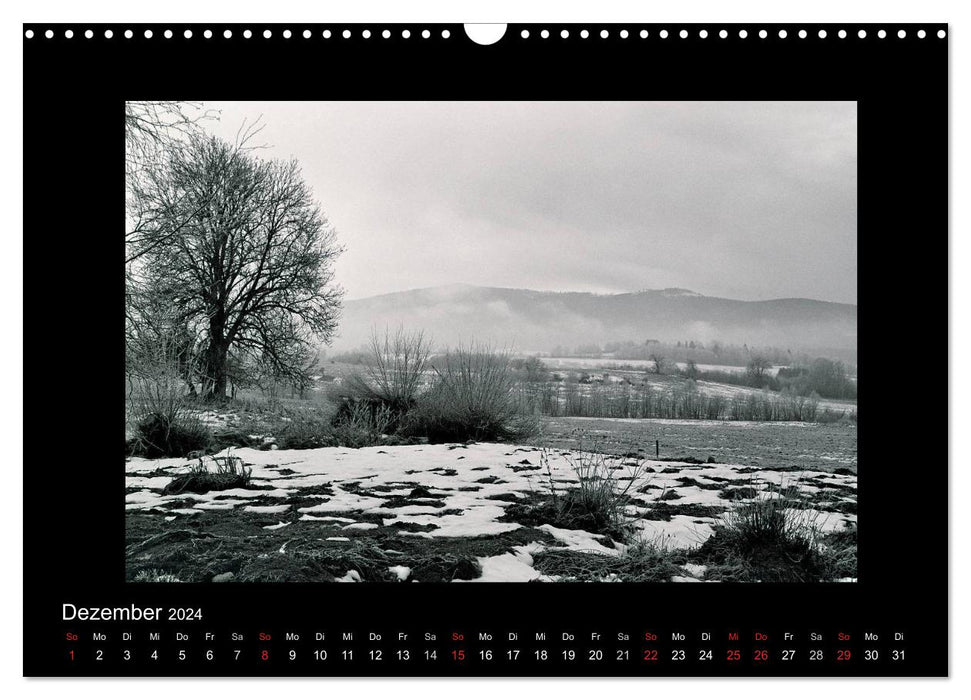 Schönheit an der Moldau - Cesky Krumlov (CALVENDO Wandkalender 2024)