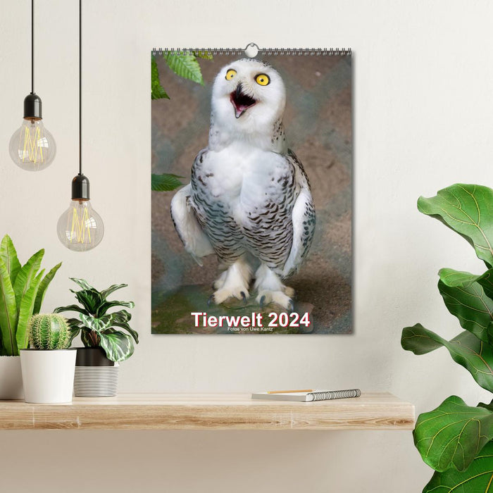 Animals (CALVENDO wall calendar 2024) 