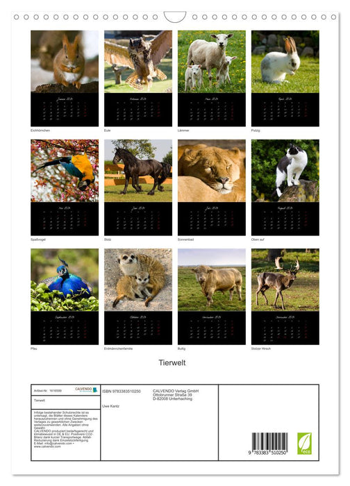 Tiere (CALVENDO Wandkalender 2024)