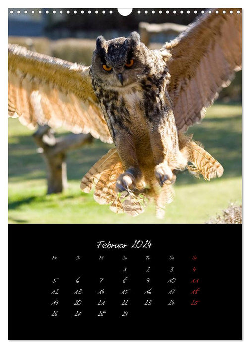 Tiere (CALVENDO Wandkalender 2024)