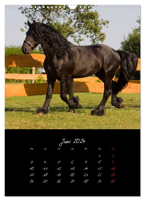 Tiere (CALVENDO Wandkalender 2024)