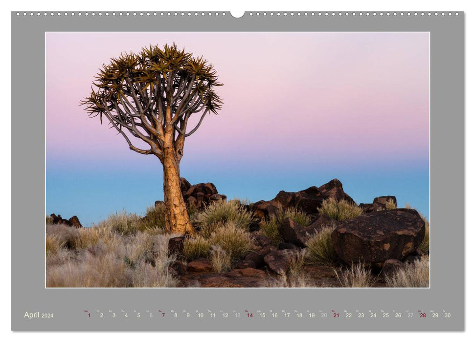 Namibia - Die Farben der Namib (CALVENDO Wandkalender 2024)